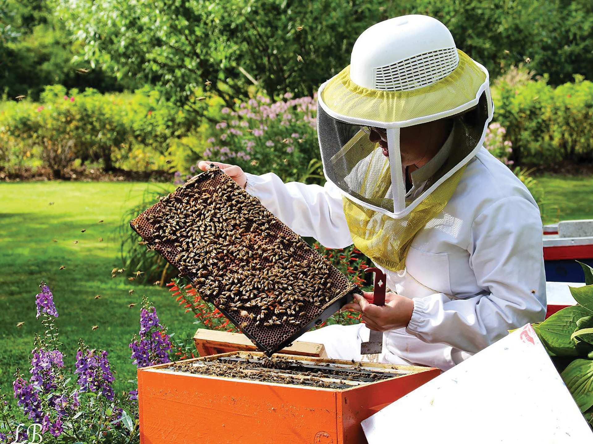 A beekeeper holding a hive