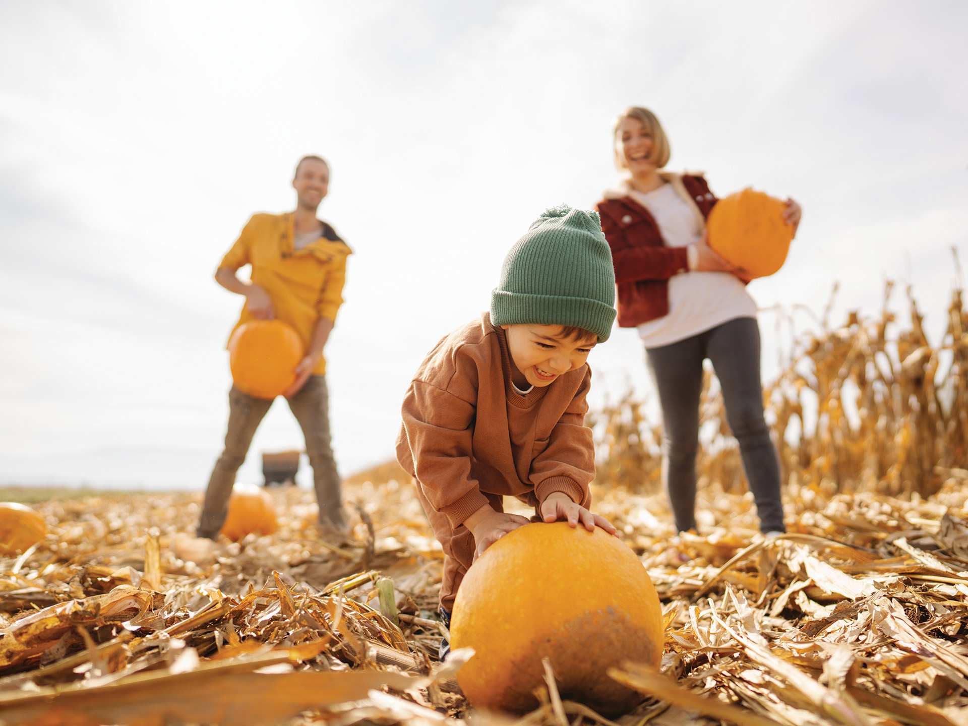 A family playing in a pumpkin patch