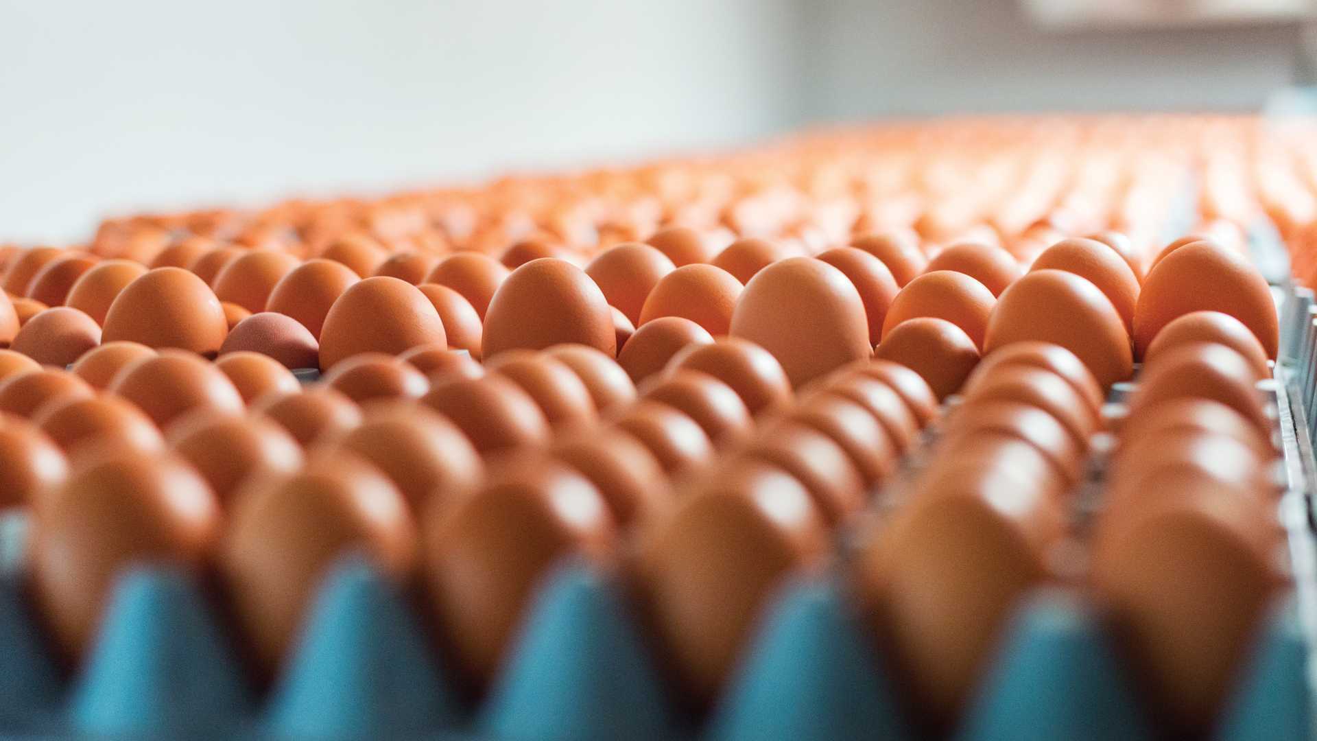 Make this: Creamy mushrooms on toast recipe | Recipes | Foodism TO