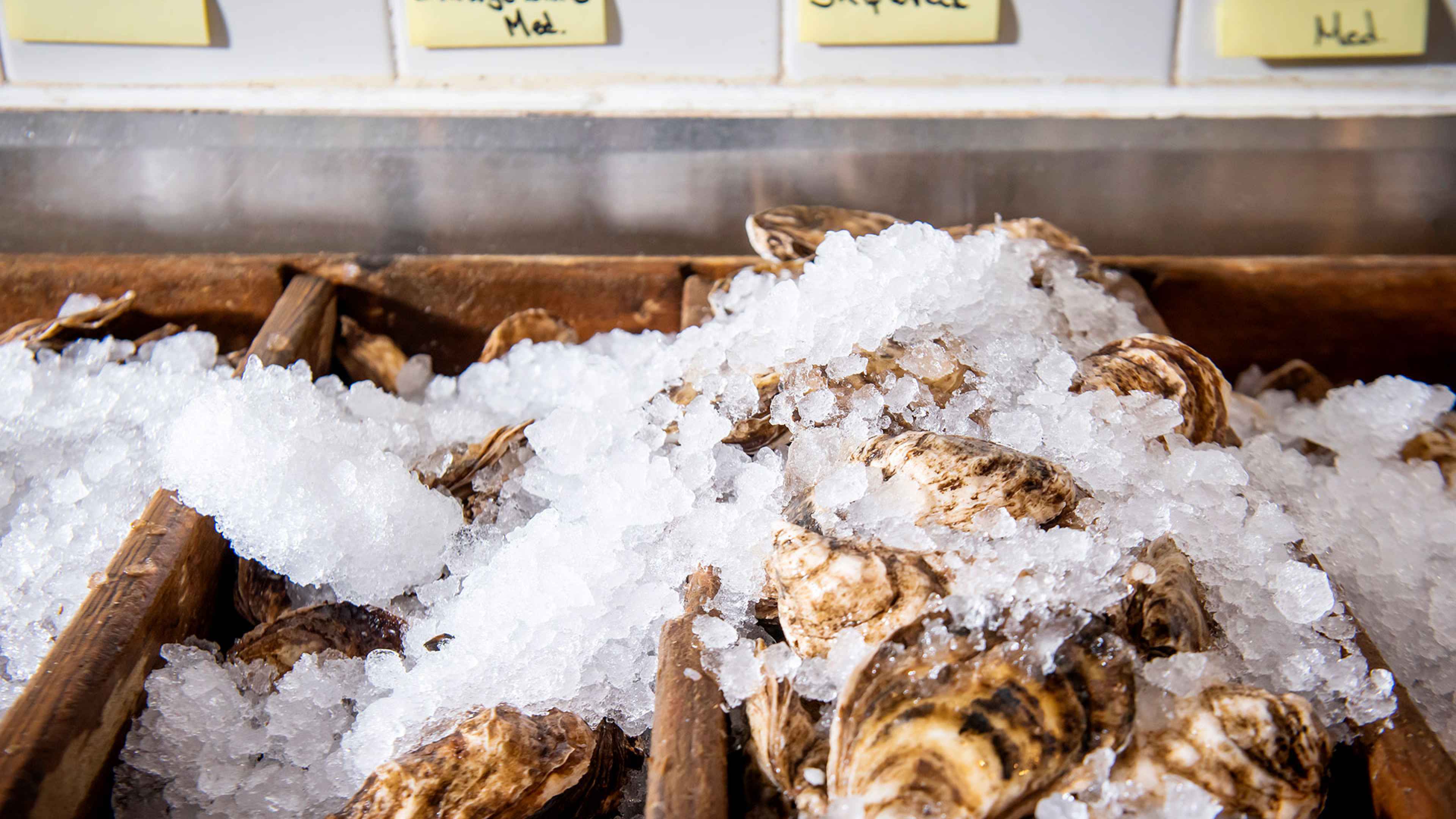 Best Toronto oysters, plus deals and buckashuck Foodism TO