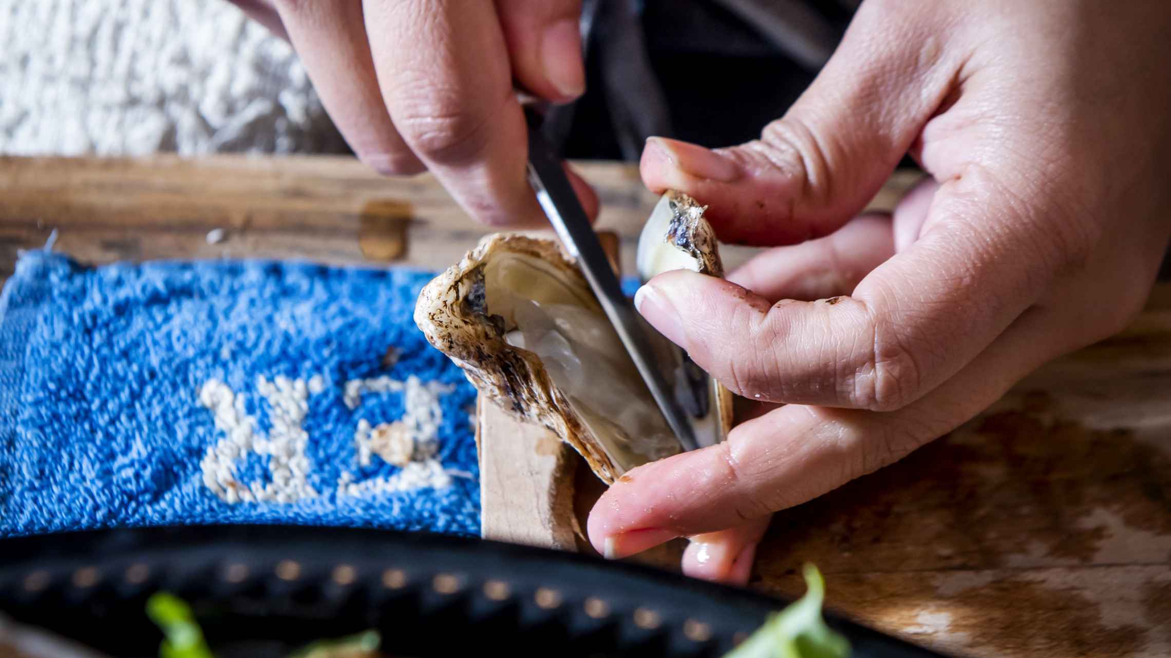 Best Toronto oysters, plus deals and buckashuck Foodism TO