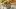 multinational-holiday-feasts-suresh-doss