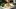 Toronto home cooks and their online food businesses | Wesley Altuna garnishing a dish from Bawang