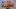 Mother's Day 2021: The AGO's Mother's Day Luncheon