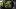 Picnic recipes: Minami's Matcha Chocolate Hazelnut Layer Cake