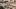 Things to do in Toronto this August 2021 | The gelato flavours at Hotel Gelato