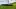 Greener Grazing meat delivery in Toronto | Cattle spend time in the fresh green grass