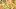 PORTA Italian meal delivery service | A spread of dishes from PORTA