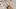 Mother's Day gift ideas 2022 | Pixie Mood Rae Crossbody Bag