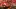Toronto's best seafood restaurants | Jambalaya at New Orleans Seafood and Steakhouse