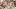 Eataly holiday gift guide | An overhead shot of food from Eataly's restaurants