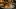 New restaurants in Toronto for spring 2023 | Steak tartare at Bar Prequel