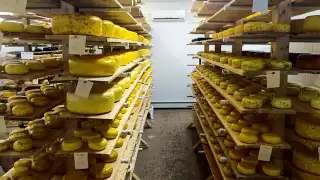 Gouda cheese at Glasgow Glen Farms