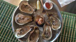 Oysters and quahogs at Carr's Oyster Bar