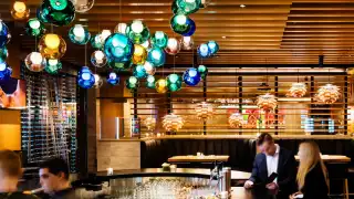 cactus-club