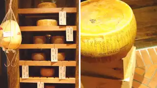 best-cheese