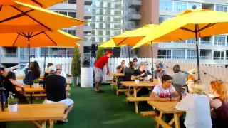 Mascot Brewery pre-game Toronto Blue Jays beer bar rooftop patio Mascot Brewery pre-game Toronto Blue Jays beer bar rooftop patio