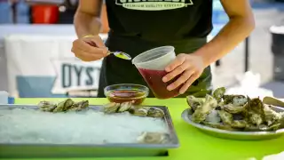 Oysters