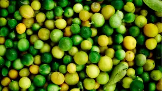 Limes