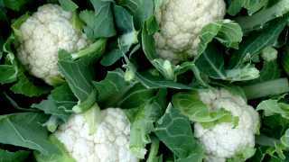 Cauliflower-Nick-Saltmarsh