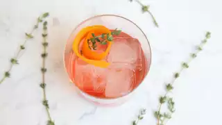Nick Meyer's Miku Negroni Nick Meyer's Miku Negroni