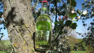 Pommies Cider Pommies Cider