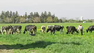 greenspace-rolling-meadow