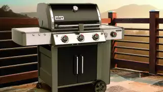 Weapons of Choice: Weber Genesis II
