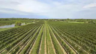 Beamsville Bench