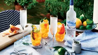 grey-goose-live-victoriously