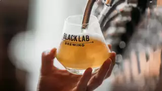 Black-Lab-Brewing