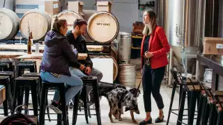 Black-Lab-Brewing