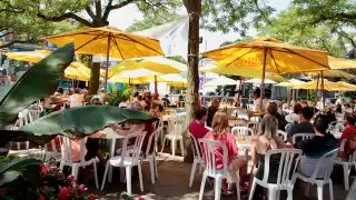 Toronto Festivals; Taste of the Danforth; Things to Do in Toronto this week