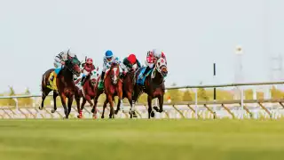 Woodbine Racetrack