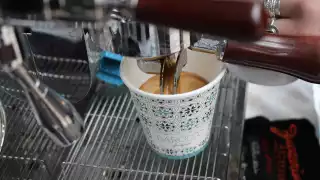 Barocco’s Alto Medium Roast Barocco’s Alto Medium Roast