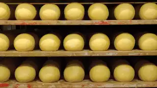 Cheese from the Azores, Portugal Cheese from the Azores, Portugal