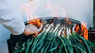 Calçotada Festival