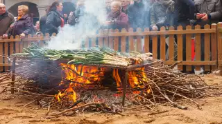 Calçotada Festival