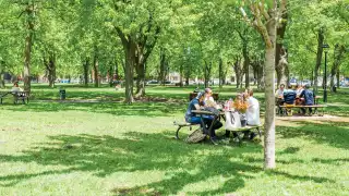 The best things for foodies to do this summer in Toronto The best things for foodies to do this summer in Toronto