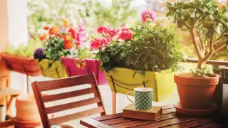 The best things for foodies to do this summer in Toronto The best things for foodies to do this summer in Toronto