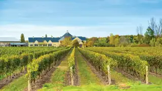 The best things for foodies to do this summer in Toronto The best things for foodies to do this summer in Toronto