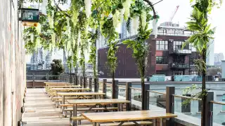 Toronto restaurants reopening