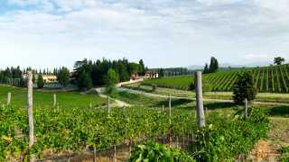 Ruffino Modus Super Tuscan wine