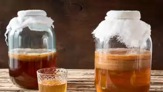 Fermentation: Kombucha