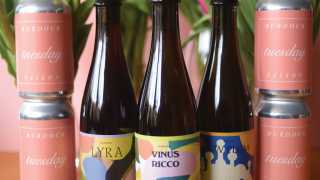 Burdock Brewery: a selection of brews