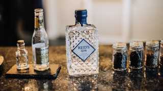 Alcohol delivery in Toronto | Gin from Reid's Distillery in Toronto