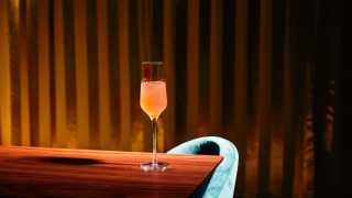 Alcohol delivery in Toronto | an orange cocktail in a flute glass at Supernova Ballroom in Toronto