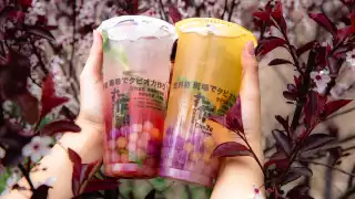 The best bubble tea in Toronto | two bubble tea drinks with special tapioca flavours from OneZo Tapioca