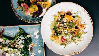 Best farm-to-table restaurants Toronto | A selection of seasonal dishes the Green Wood