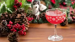 15 things to do in Toronto this November | A Christmapolitan cocktail at Miracle Christmas pop-up at Stackt Market